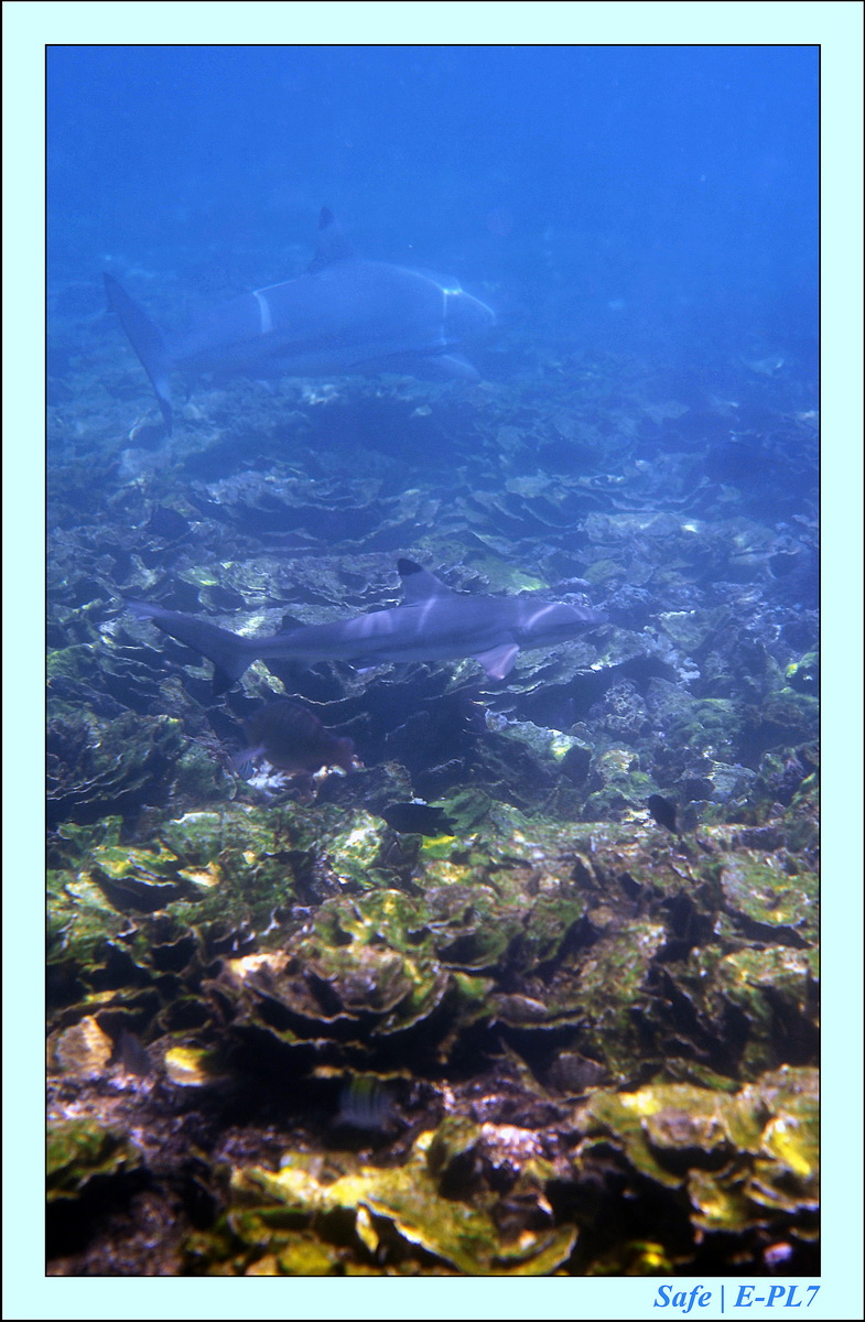 2015   07   Peranthian Islands 54